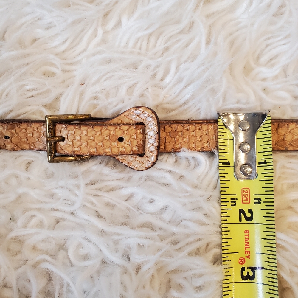Roberto Cavalli| Womens Thin Python Belt Tan |Siz… - image 4